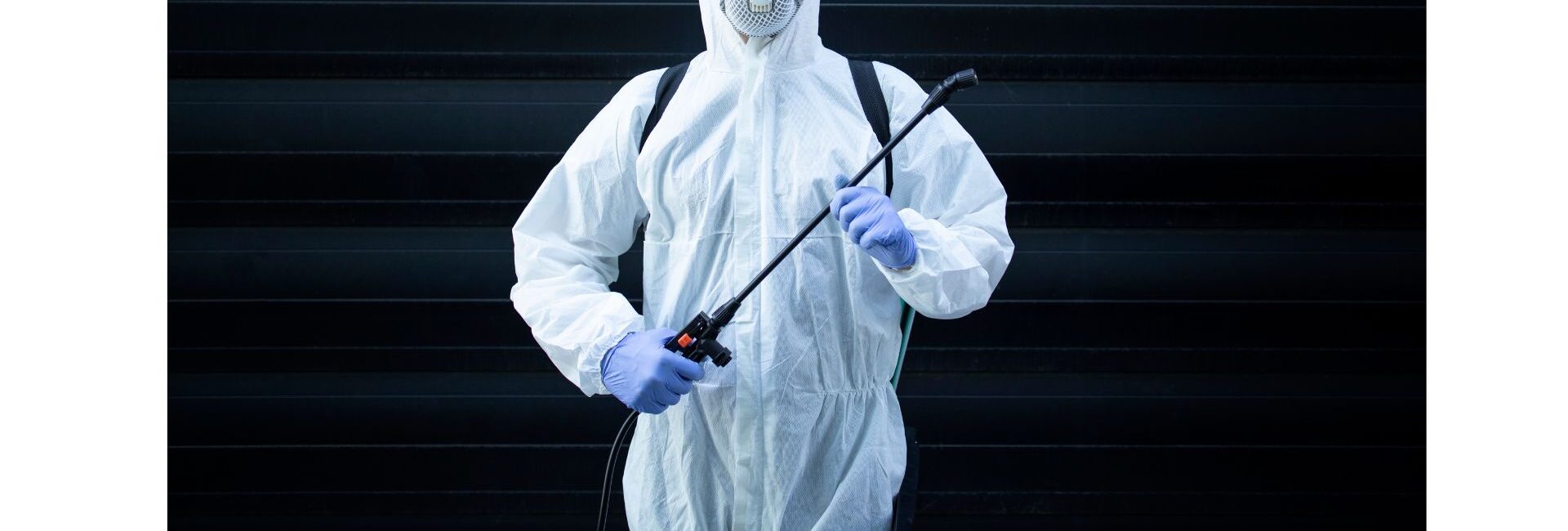 24x7 Pest Control - Pest Control Companies in Gurgaon