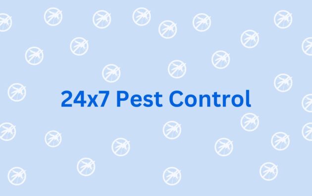 24x7 Pest Control - Pest Control Services in gurgaon