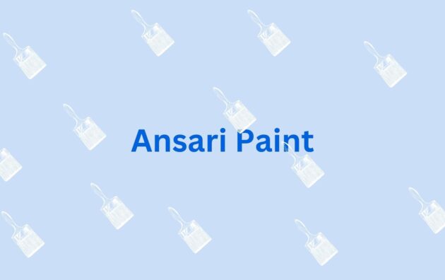 Ansari Paint Home painting service in Gurgaon