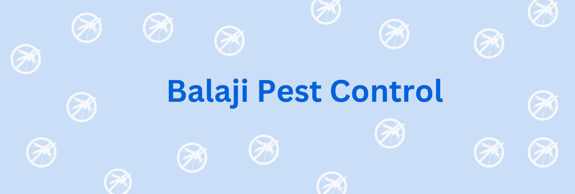 Balaji Pest Control - Pest Control Services in Gurgaon (1)