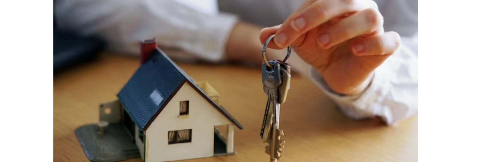 CENSUS CONSULTANT - Real Estate agent in Gurgaon