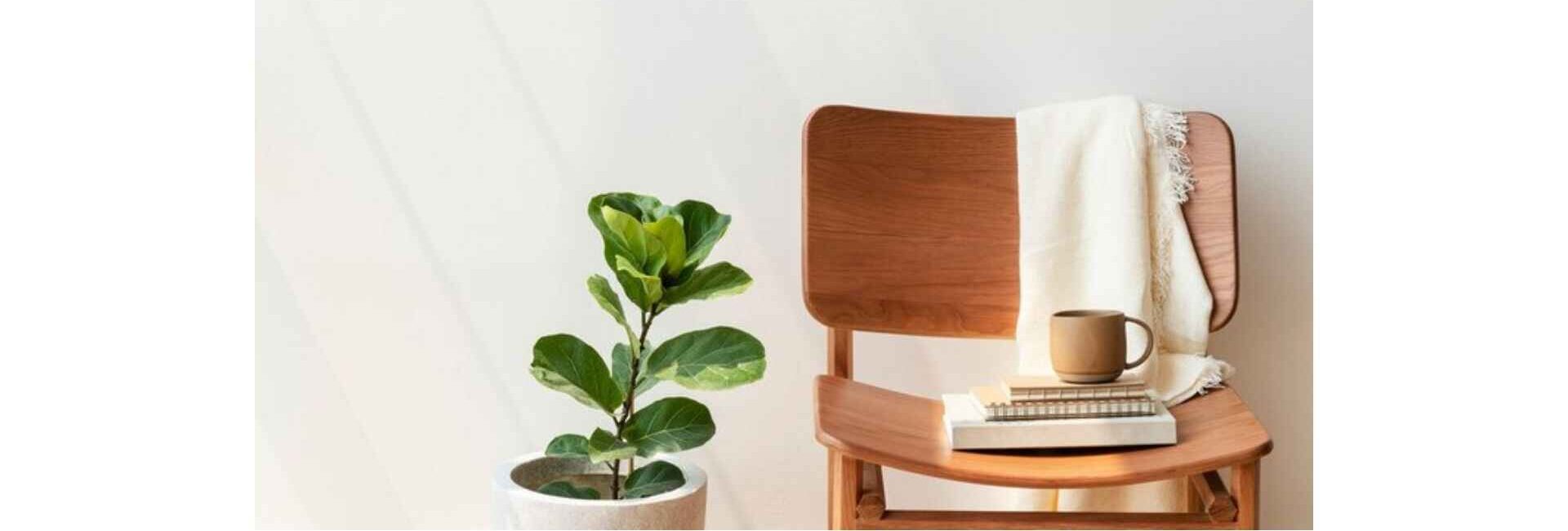 Laxmi Furniture House- Furniture Showrooms in Gurgaon,