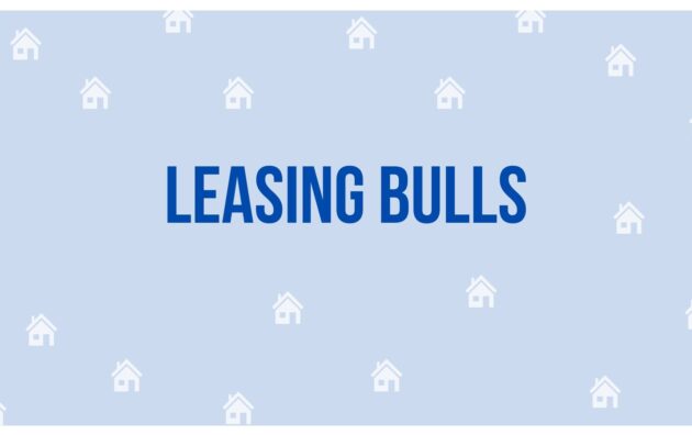 Leasing bulls - Estate Agent in Gurgaon