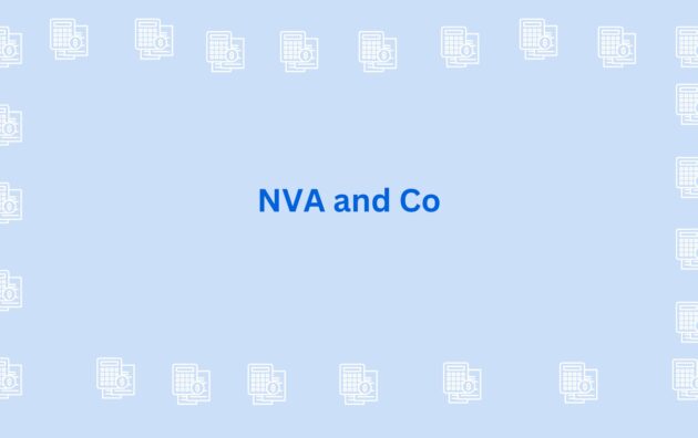 NVA and Co - chartered accountant in gurgaon