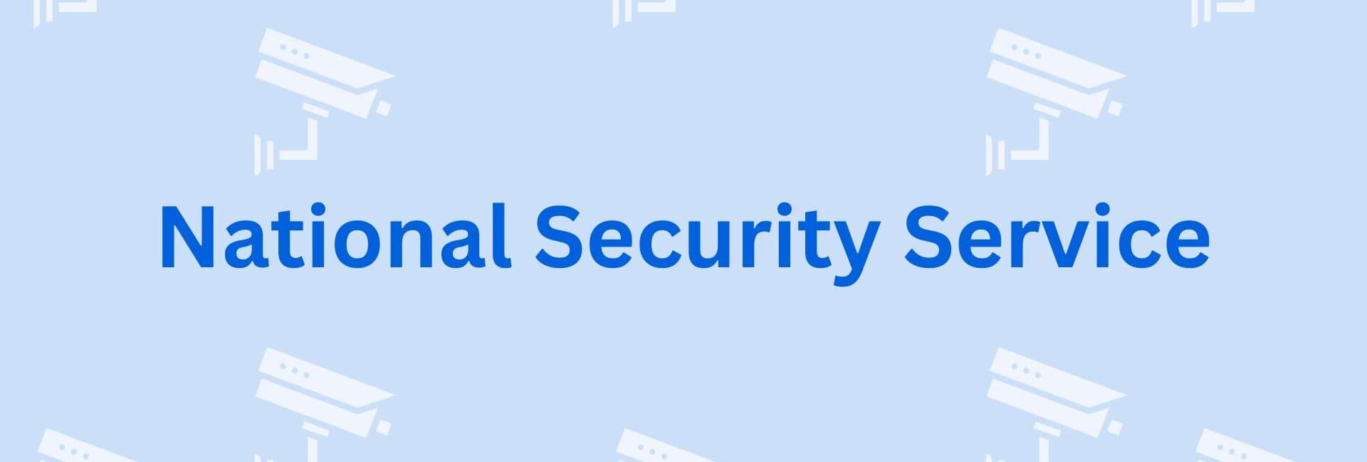 National Security Service - CCTV Dealers in Gurgaon