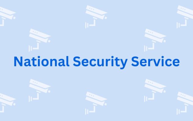 National Security Service - CCTV Dealers in Gurgaon
