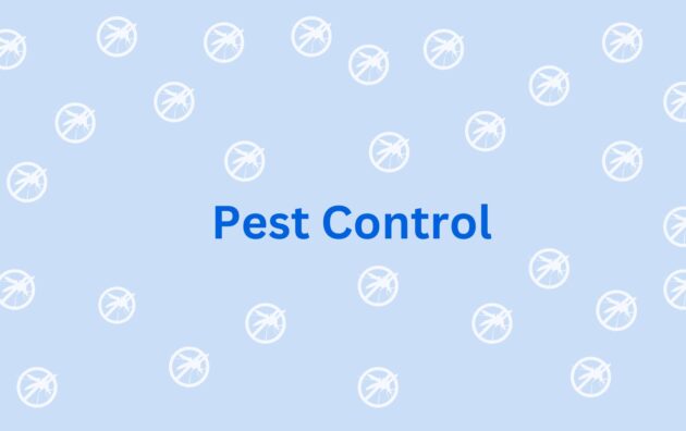 Pest Control Insect Control Services in Gurgaon 1