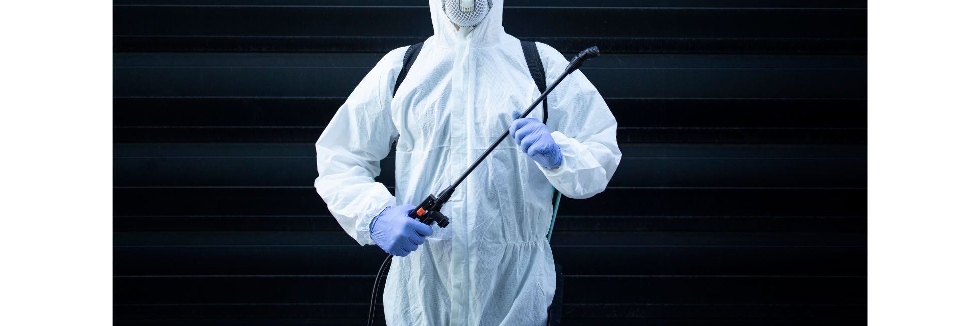Pest Control and Insecticides Services - Flea Control services in Gurgaon
