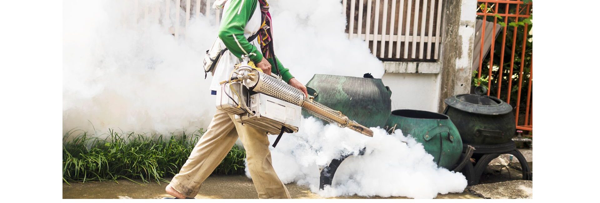 Pest control - Pest Control Services in Gurgaon