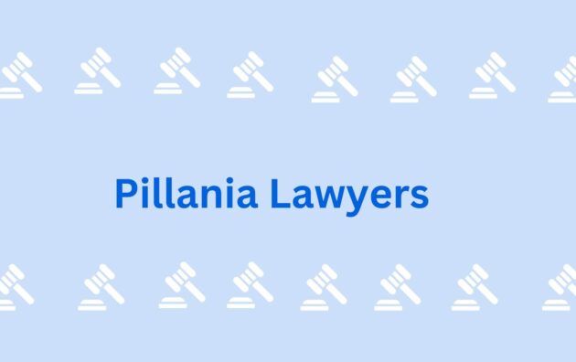 Pillania Lawyers-legal service provider in Gurgaon2