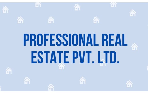 Professional Real Estate Pvt. Ltd. - To let Service in Gurgaon