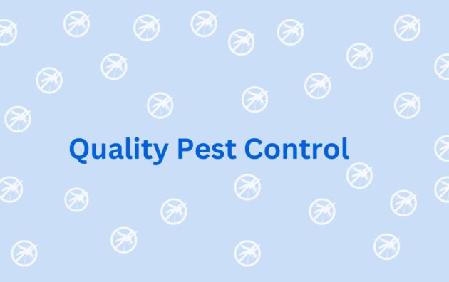 Quality Pest Control - Pest Control Service Providers in Gurgaon