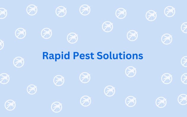 Rapid Pest Solutions - Pest Control Services in Gurgaon