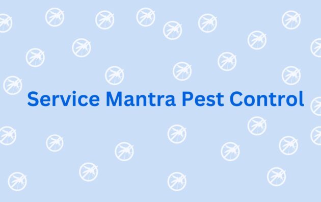 Service Mantra Pest Control - Pest Control Service Providers in Gurgaon