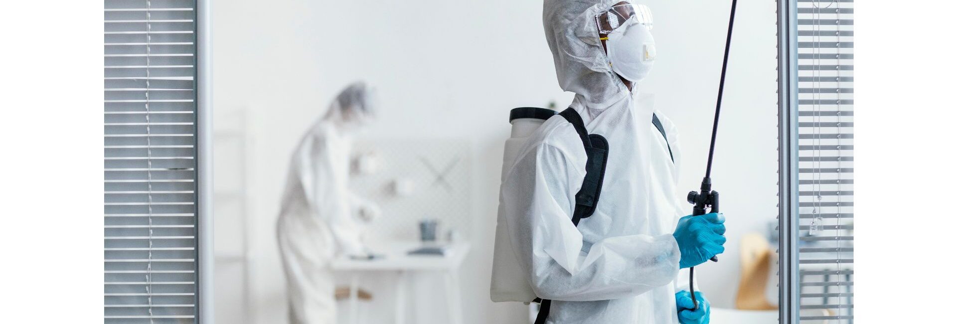 Service Mantra Pest Control - Rodent Exterminator in Gurgaon