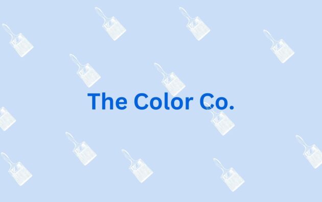 The Color Co. House paintinting service in gurgaon