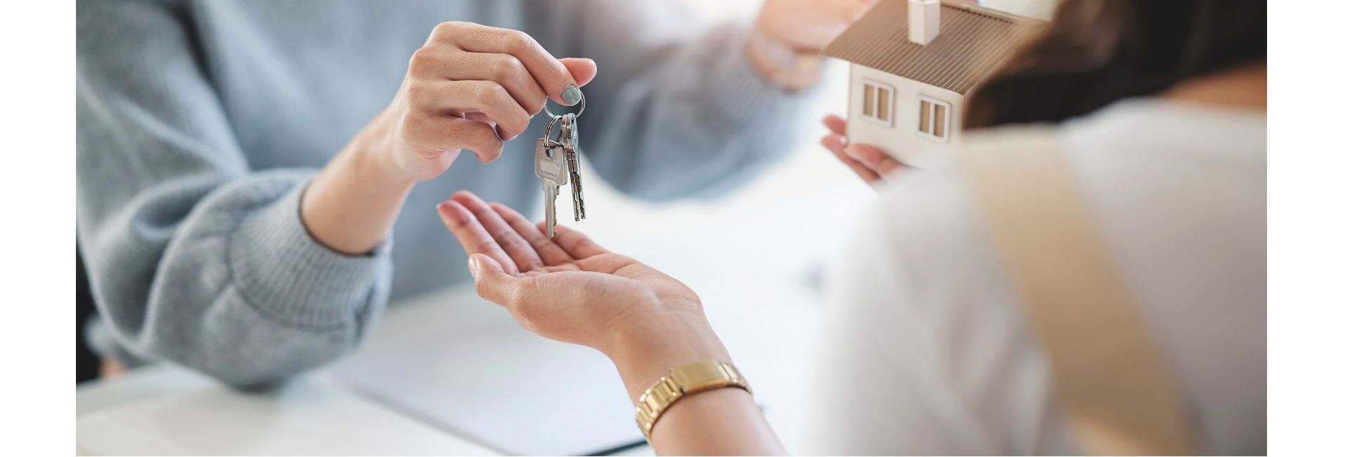 The Dreamland - Real Estate agent in Gurgaon