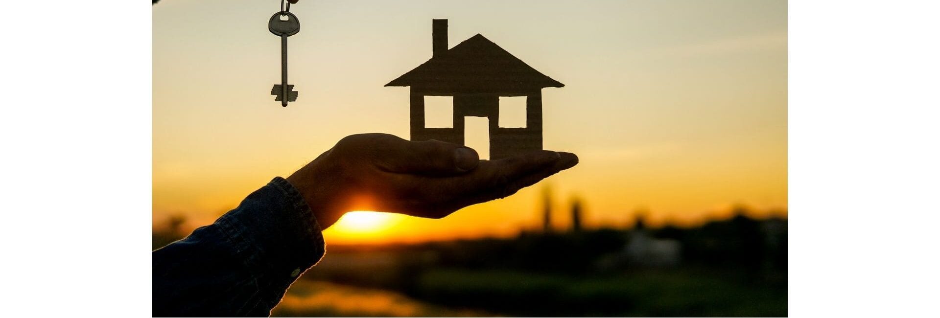 Wealthy Walls - Real estate agent in Gurgaon