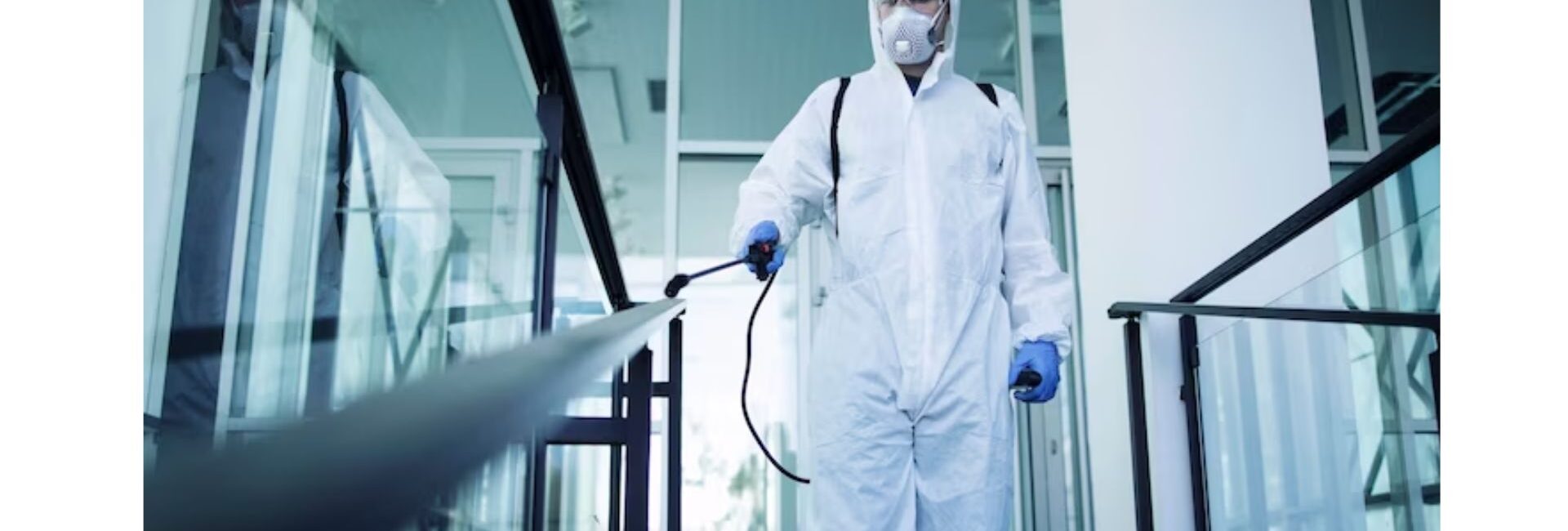 Zero Pest Management Services - Flea Control Companies in Gurgaon -