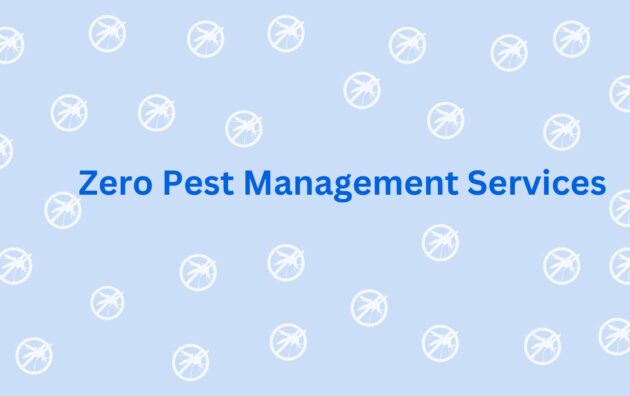 Zero Pest Management Services - Flea Control services in Gurgaon -