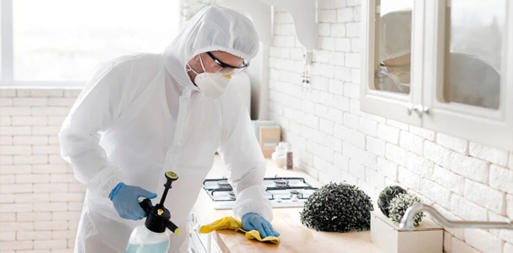 Our-Pest-Control-Services-in-Gurgaon.jpg