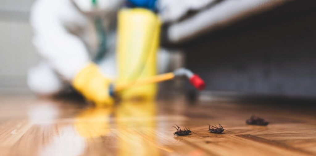 Pest-Control-Services-in-Gurgaon-Effective-Solutions-for-a-Pest-Free-Home-and-Office-What-is-Pest-Control.jpg