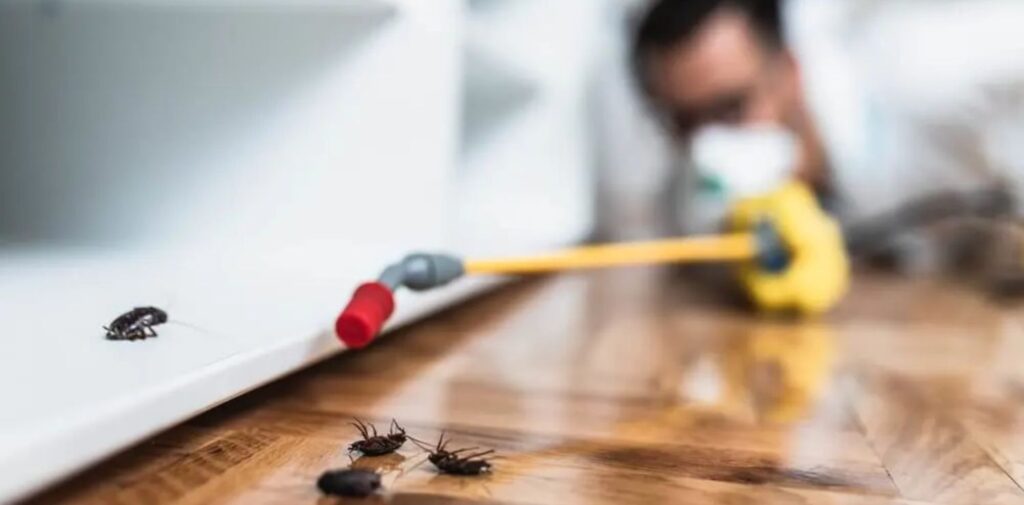 Why-Choose-Our-Pest-Control-Services-in-Gurgaon.jpg