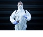 24x7 Pest Control - Pest Control Companies in Gurgaon