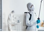 A2Z Pest Control - Rodent Exterminator in Gurgaon