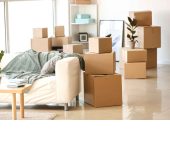 Modern Furniture Gallery - Furniture Showroom in Gurgaon