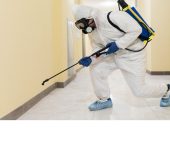 Pest Control - Flea Control services in Gurgaon