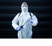Pest Control and Insecticides Services - Flea Control services in Gurgaon