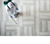 Quality Pest Control - Rodent Exterminator in Gurgaon