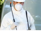 Rapid Pest Solutions - Pest Control Companies in Gurgaon