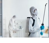 Service Mantra Pest Control - Rodent Exterminator in Gurgaon