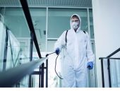 Zero Pest Management Services - Flea Control Companies in Gurgaon -